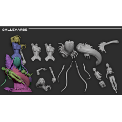 Gallevarbe