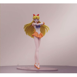 Sailormoon Pack