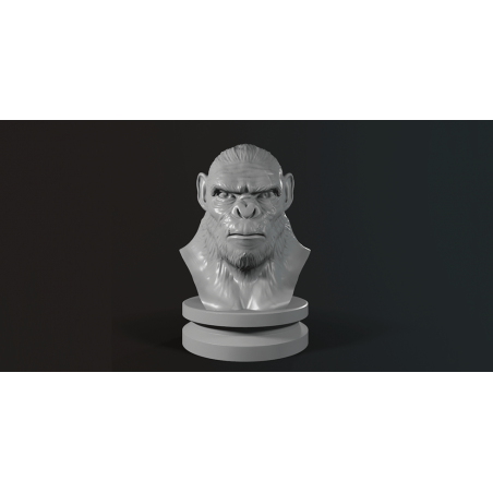 Koba Monkey Bust