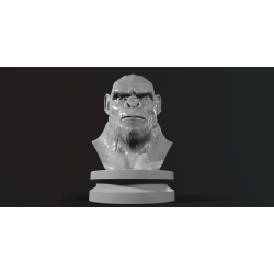 Koba Monkey Bust