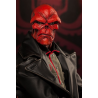 Hydra Red Skull