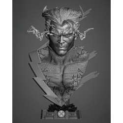 Quick Silver Bust