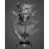 Quick Silver Bust