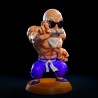 Roshi Normal & Muscle