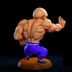 Roshi Normal & Muscle