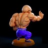 Roshi Normal & Muscle