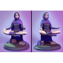 Raven Meditating