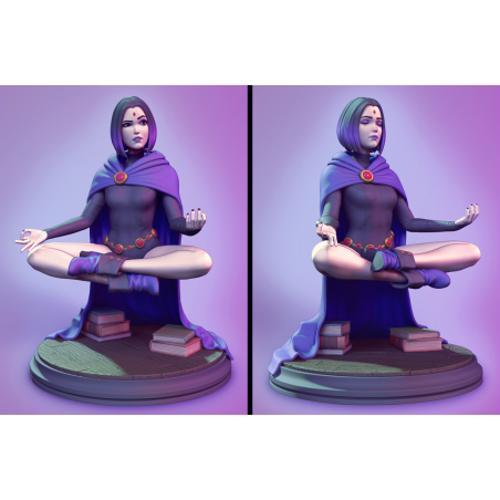 Raven Meditating