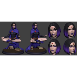 Raven Meditating