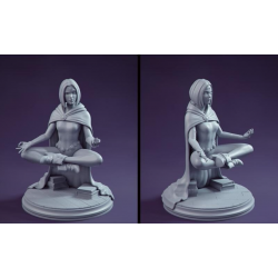 Raven Meditating