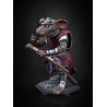 TMNT - Master Splinter