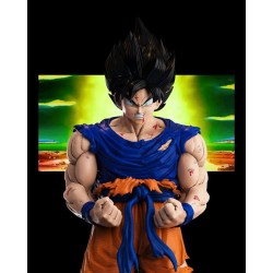 Goku Transformation