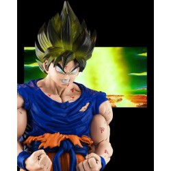 Goku Transformation