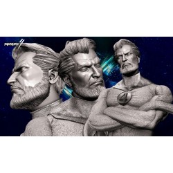 Fantastic Four - Richards Bust