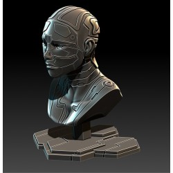 Cyborg Bust