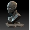 Cyborg Bust