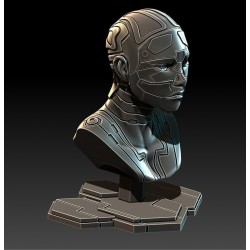 Cyborg Bust