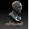 Cyborg Bust