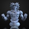 Broly Full Body & Bust