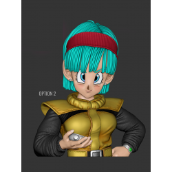 Bulma