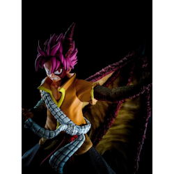 Fairy Tail Natsu