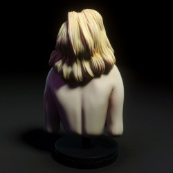 Practice Bust Pack