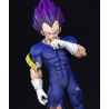 Vegeta Ultra Ego