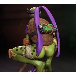 TMNT - Donatella