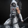 Storm Shadow