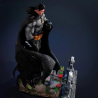 Batman Grave