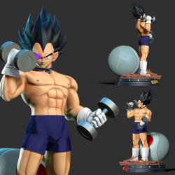 Vegeta with gym