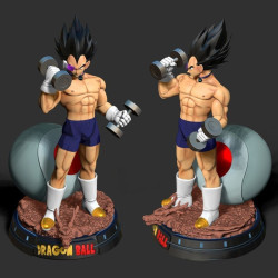 Vegeta with gym