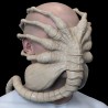 Alien Romulus Facehugger