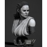 Rey Bust