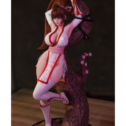 Dead or Alive - Kasumi