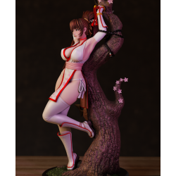 Dead or Alive - Kasumi