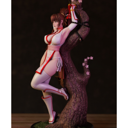 DOA - Kasumi