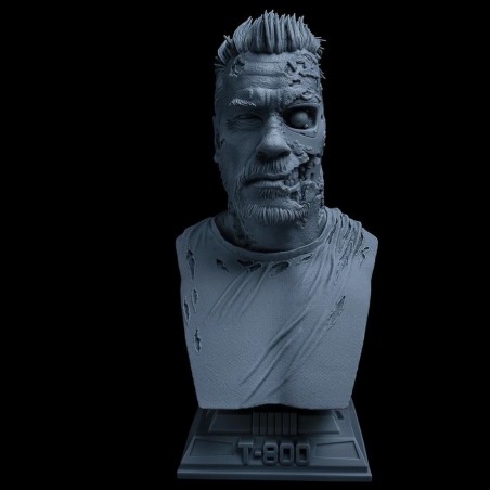 T800 Bust