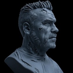 T800 Bust