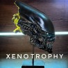 Xenomorph Alien