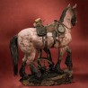Sadie Adler with horse