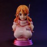 Nami Bust