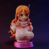 Nami Bust
