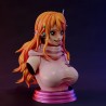 Nami Bust