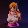 Nami Bust