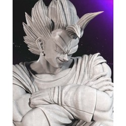 Vegito vs Majin Boo