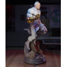 Invincible Conquest