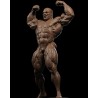 Ronnie Coleman