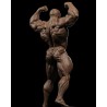 Ronnie Coleman