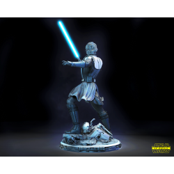 SW Anakin Sculpture & Bust
